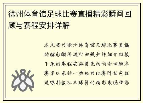 徐州体育馆足球比赛直播精彩瞬间回顾与赛程安排详解